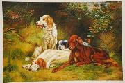unknow artist Dogs 033 oil painting on canvas